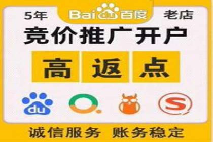案例分析：SEM广告助力中小企业崛起
